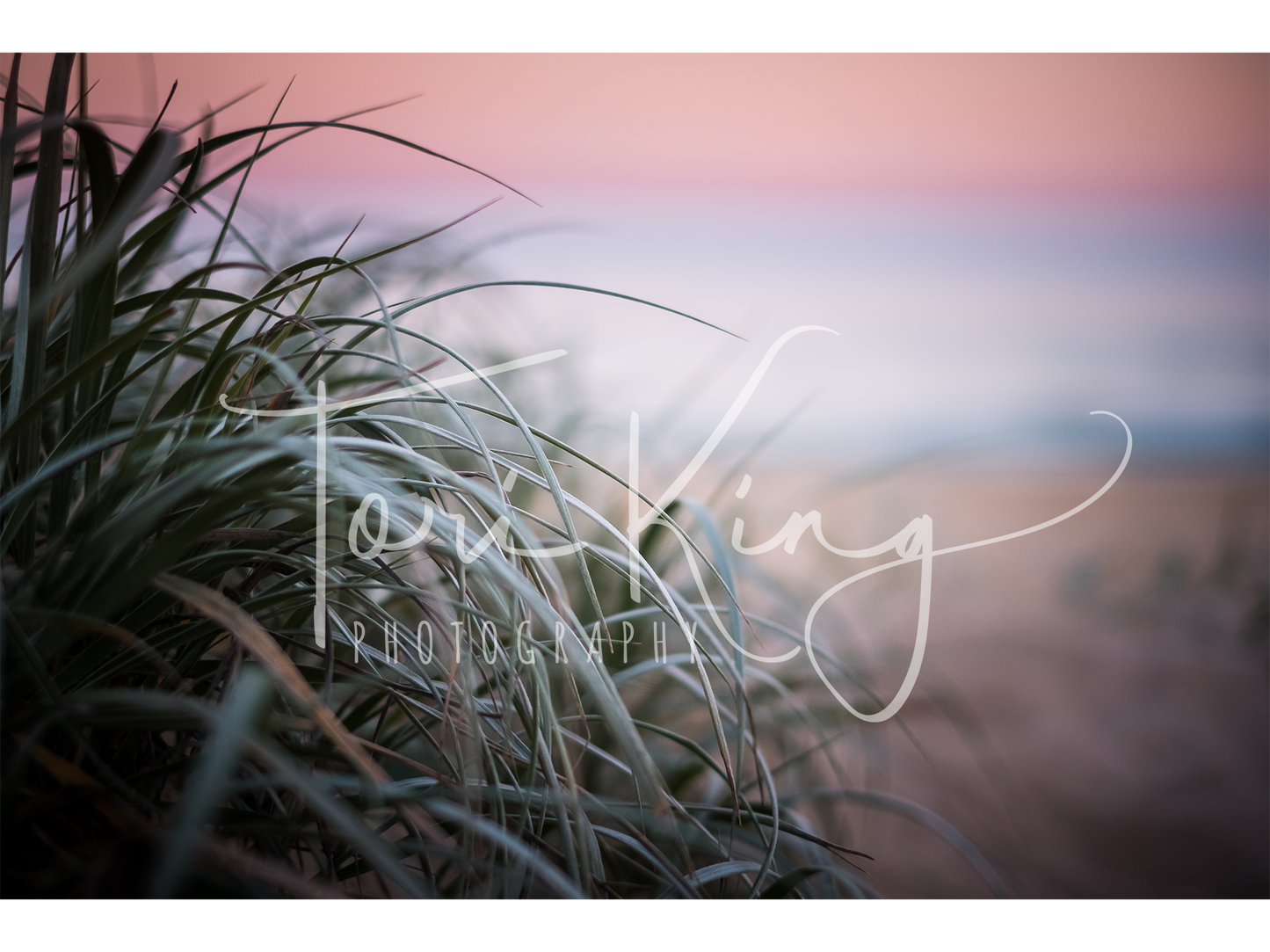 Bush Beach Sunset