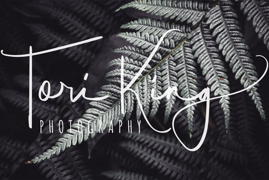 Friendly Bundeena Fern