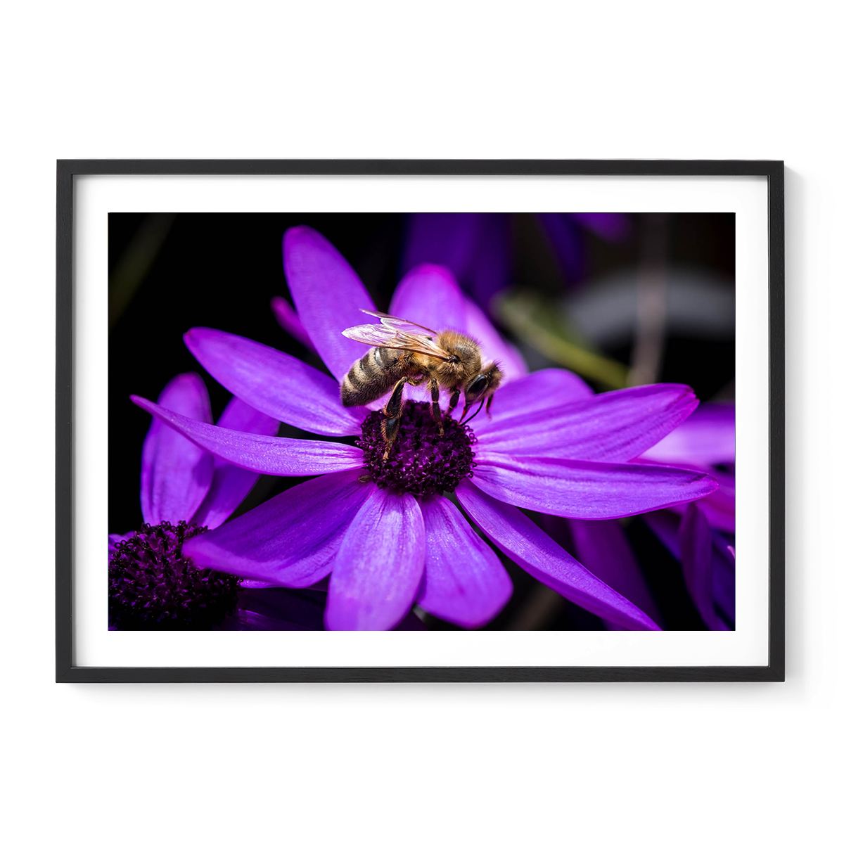 Macro Moments