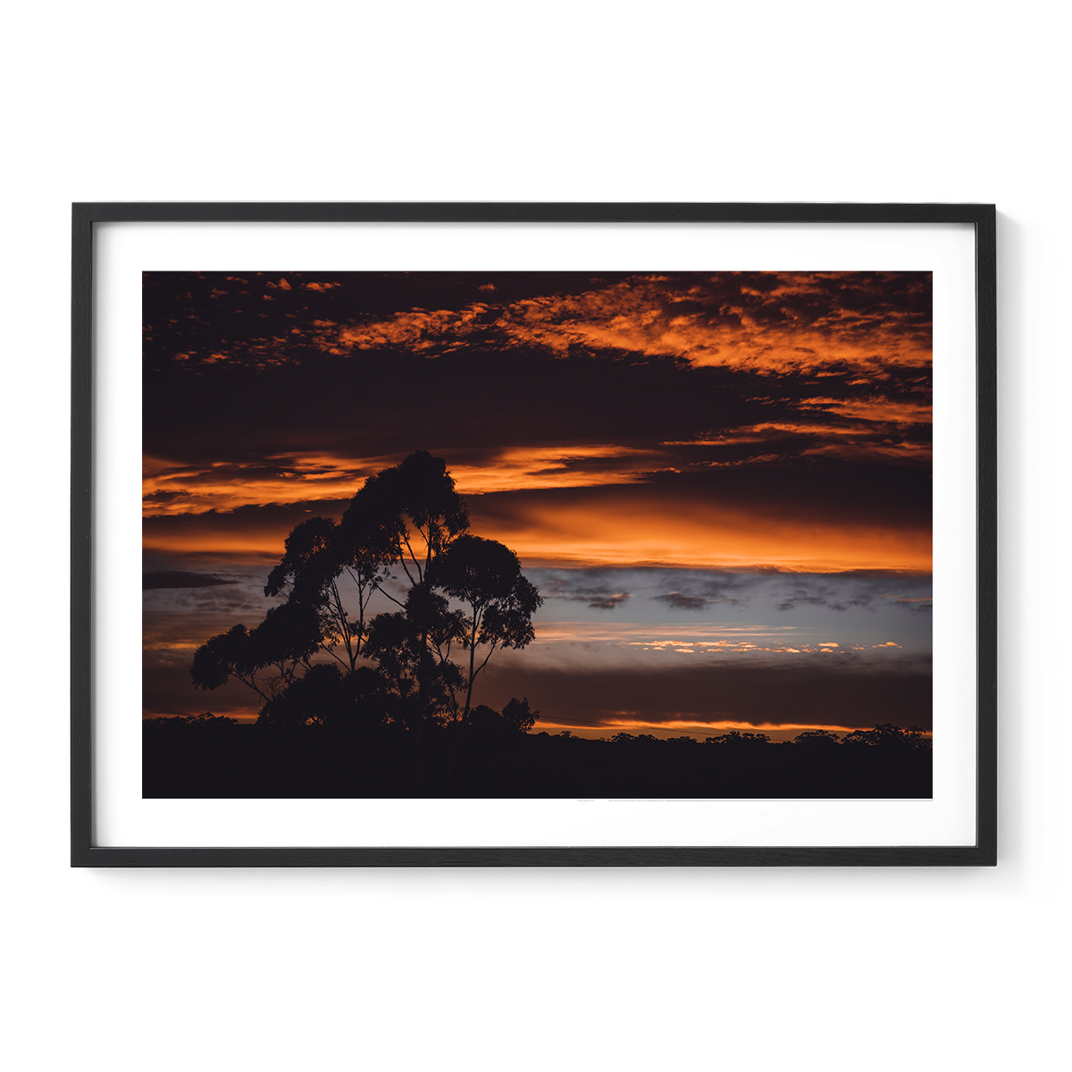 Land and Light
