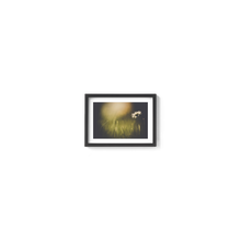 Load image into Gallery viewer, Dainty Daisy Delight

