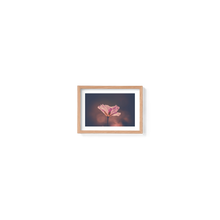 Load image into Gallery viewer, Pretty Pink Petals

