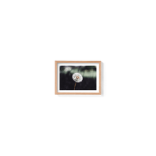 Load image into Gallery viewer, It&#39;s the Little Things
