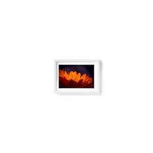 Load image into Gallery viewer, Marigold Madness
