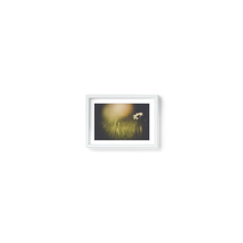 Load image into Gallery viewer, Dainty Daisy Delight

