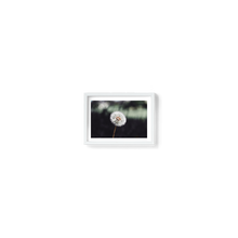 Load image into Gallery viewer, It&#39;s the Little Things
