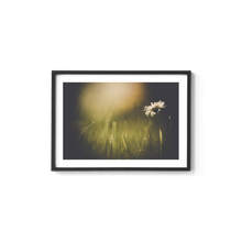 Load image into Gallery viewer, Dainty Daisy Delight
