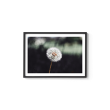 Load image into Gallery viewer, It&#39;s the Little Things
