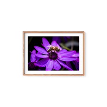 Load image into Gallery viewer, Busy Bumble Bee
