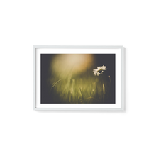 Load image into Gallery viewer, Dainty Daisy Delight
