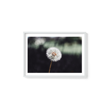 Load image into Gallery viewer, It&#39;s the Little Things
