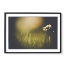 Load image into Gallery viewer, Dainty Daisy Delight
