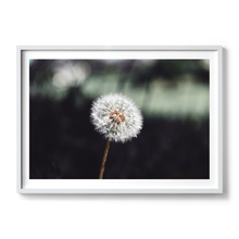 Load image into Gallery viewer, It&#39;s the Little Things
