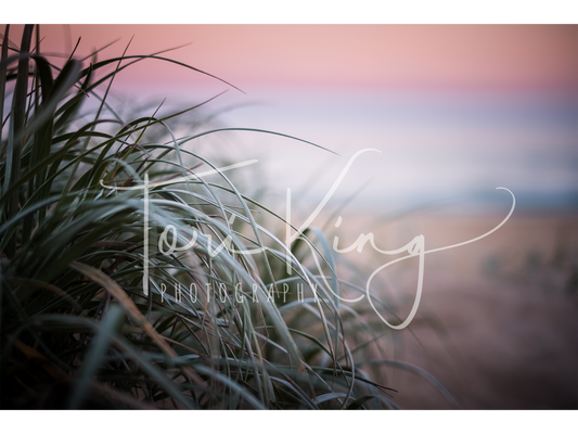Bush Beach Sunset