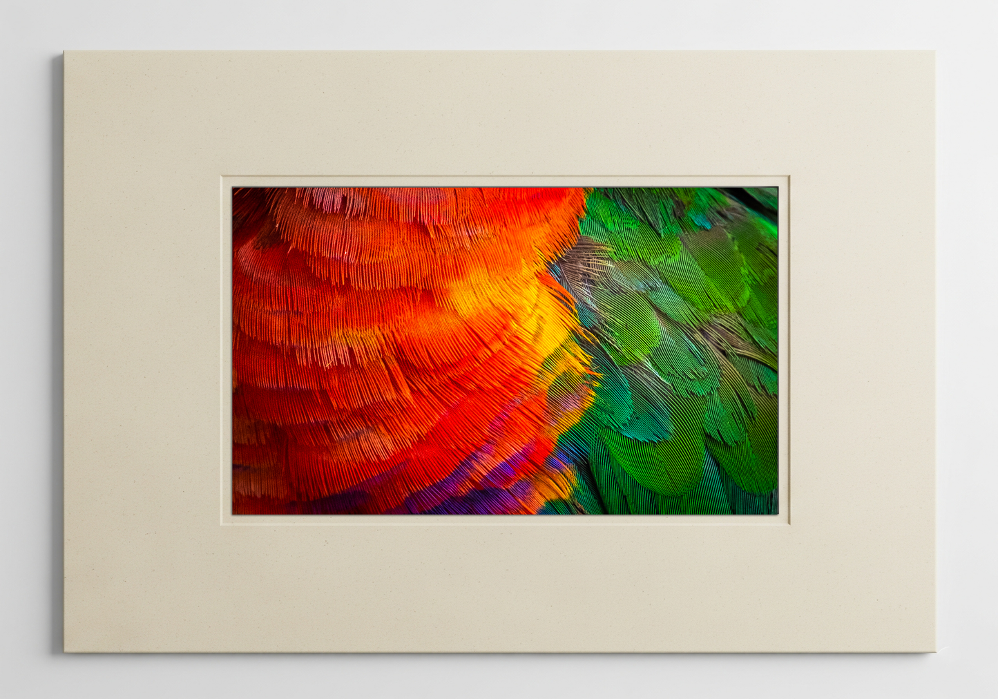 Feathered Kaleidoscope