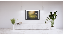 Load image into Gallery viewer, Dainty Daisy Delight

