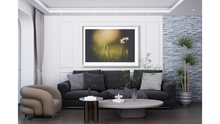 Load image into Gallery viewer, Dainty Daisy Delight
