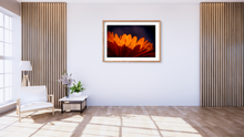 Load image into Gallery viewer, Marigold Madness
