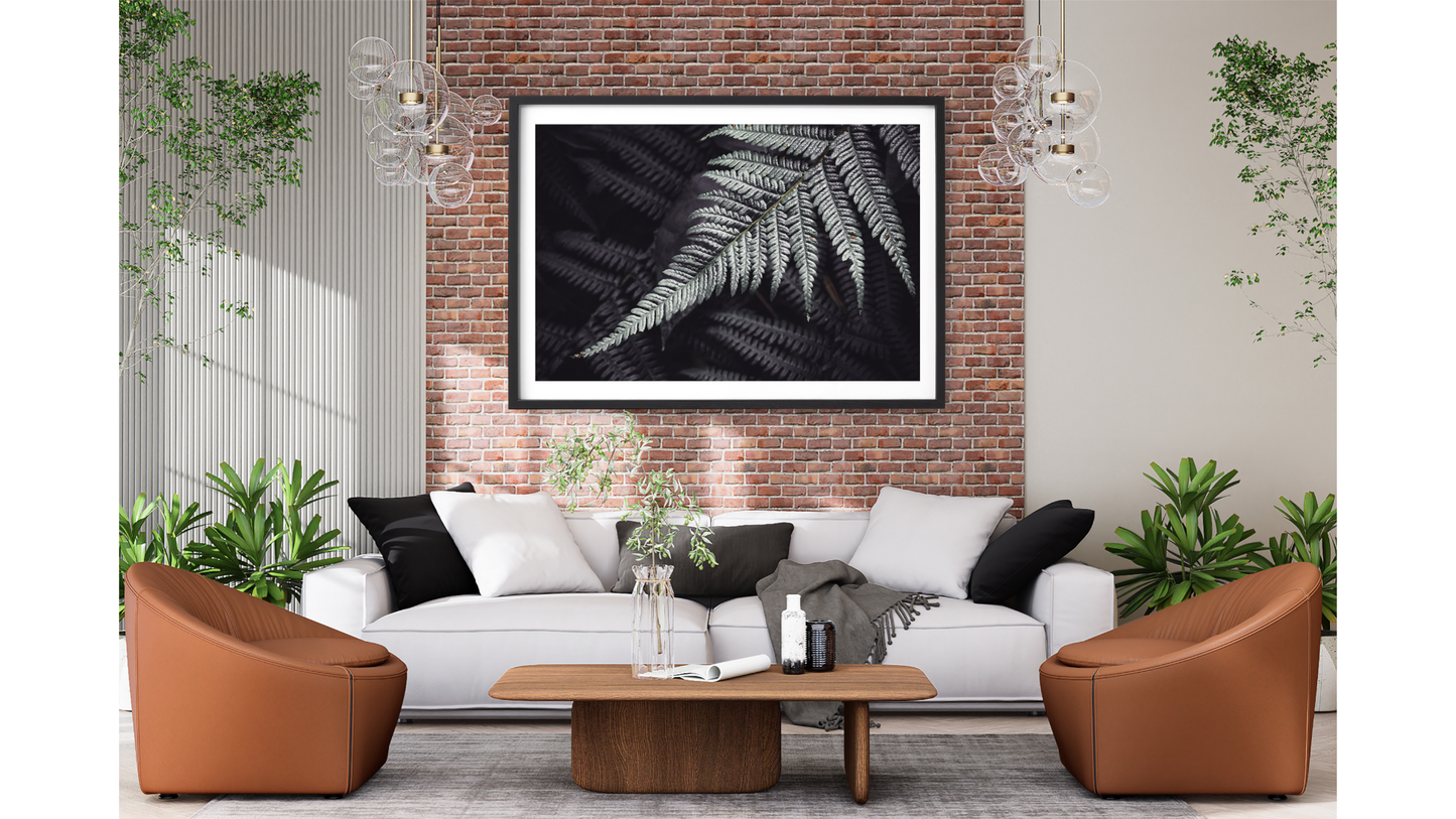 Friendly Bundeena Fern