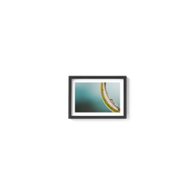Load image into Gallery viewer, Green Macro Spider

