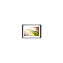 Load image into Gallery viewer, Swiss Cheese Sparkle
