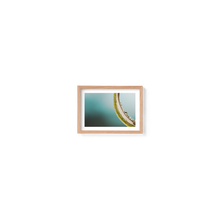 Load image into Gallery viewer, Green Macro Spider
