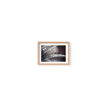 Load image into Gallery viewer, Winter Macro Shimmer
