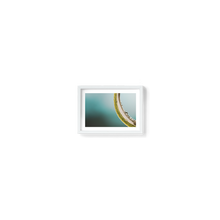 Load image into Gallery viewer, Green Macro Spider
