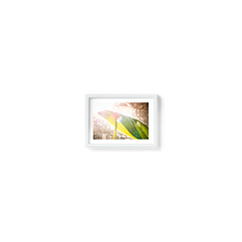 Load image into Gallery viewer, Swiss Cheese Sparkle
