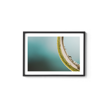Load image into Gallery viewer, Green Macro Spider
