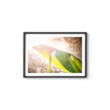 Load image into Gallery viewer, Swiss Cheese Sparkle
