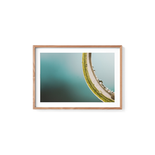 Load image into Gallery viewer, Green Macro Spider
