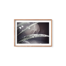 Load image into Gallery viewer, Winter Macro Shimmer
