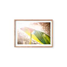 Load image into Gallery viewer, Swiss Cheese Sparkle
