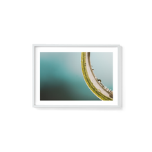 Load image into Gallery viewer, Green Macro Spider
