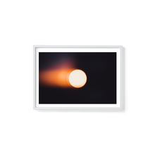 Load image into Gallery viewer, Nature&#39;s Bat Symbol
