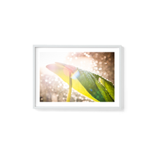 Load image into Gallery viewer, Swiss Cheese Sparkle
