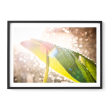 Load image into Gallery viewer, Swiss Cheese Sparkle
