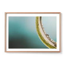 Load image into Gallery viewer, Green Macro Spider
