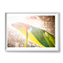 Load image into Gallery viewer, Swiss Cheese Sparkle
